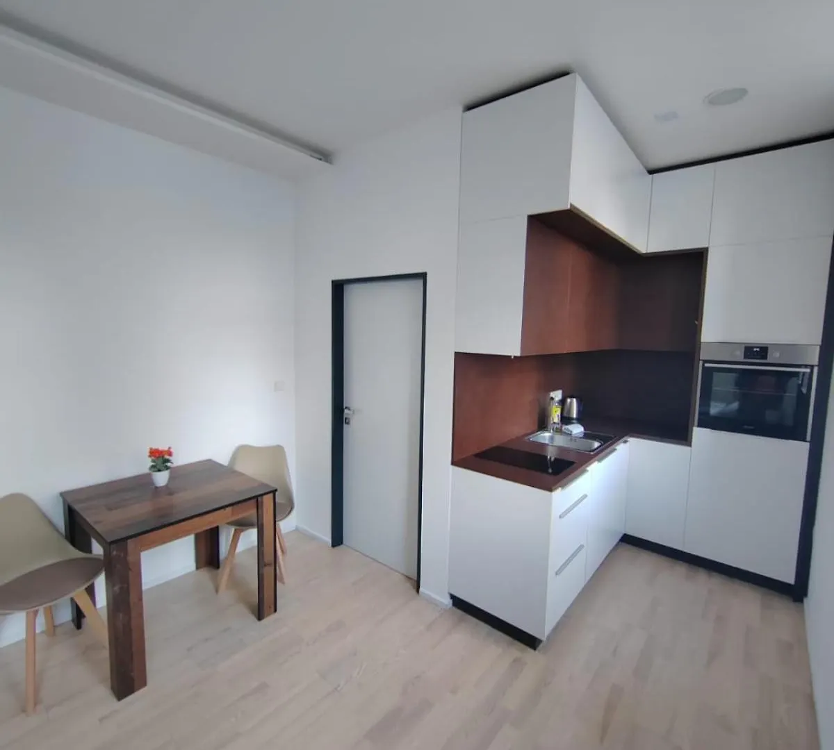 Apartment Brno-střed