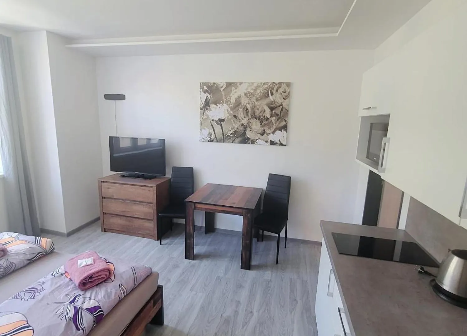 Apartment Brno-střed