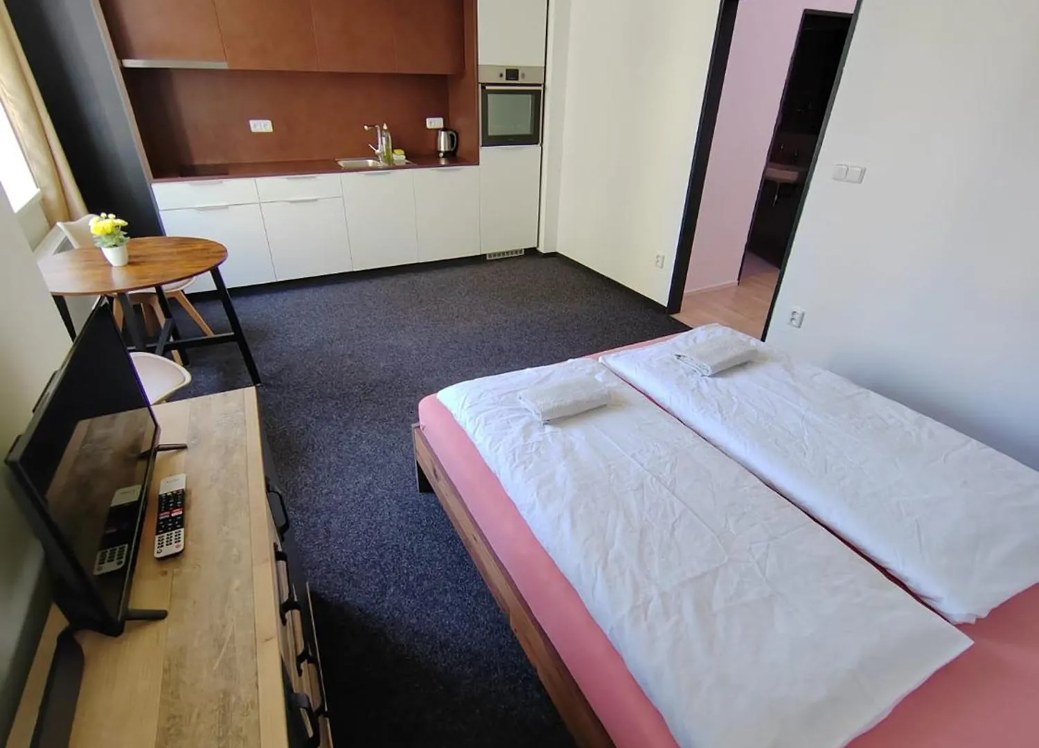 Apartment Brno-střed Česká republika
