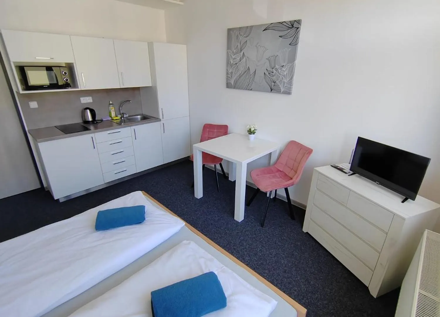 Apartment Brno-střed Brno