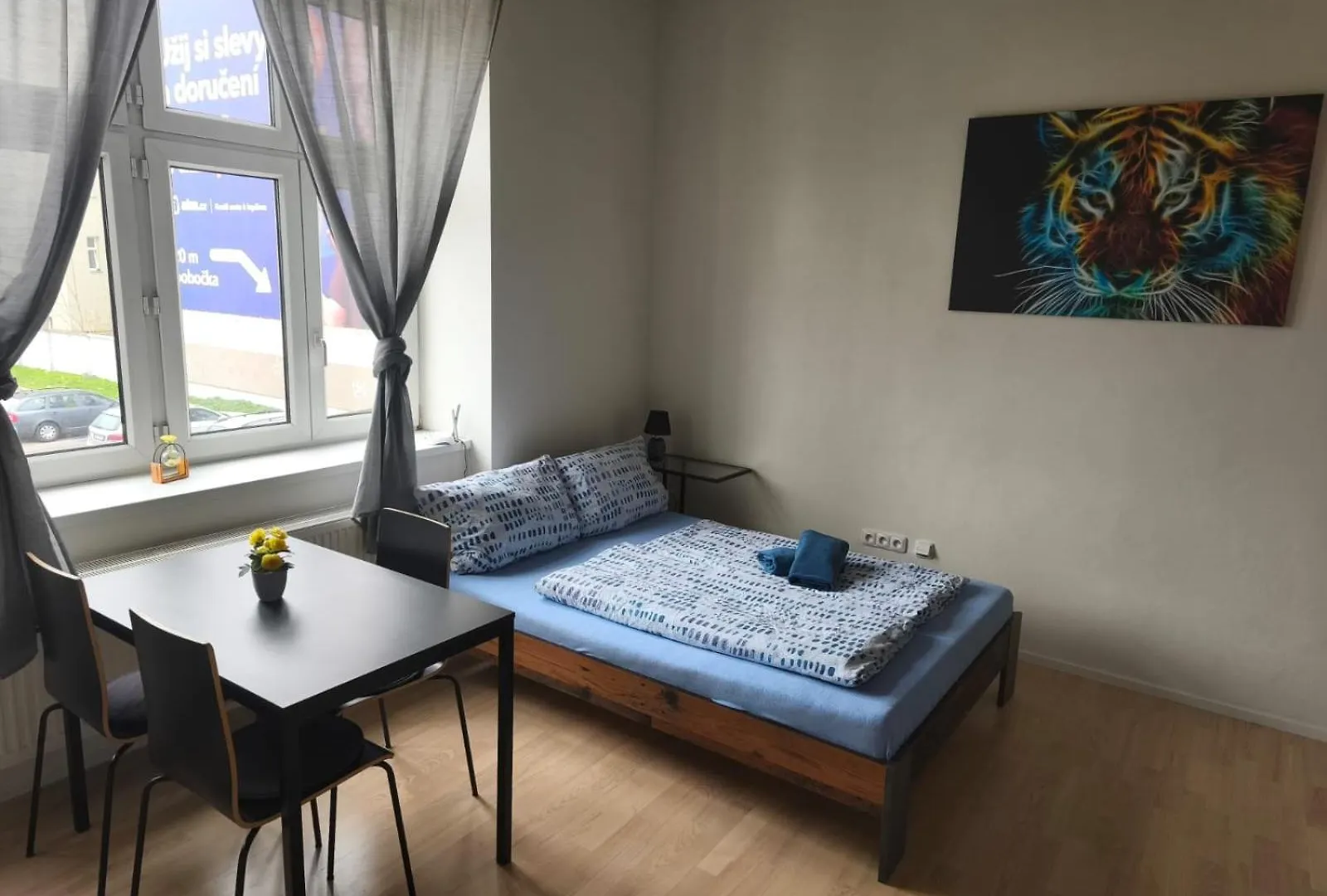 Apartment Brno-střed Brno